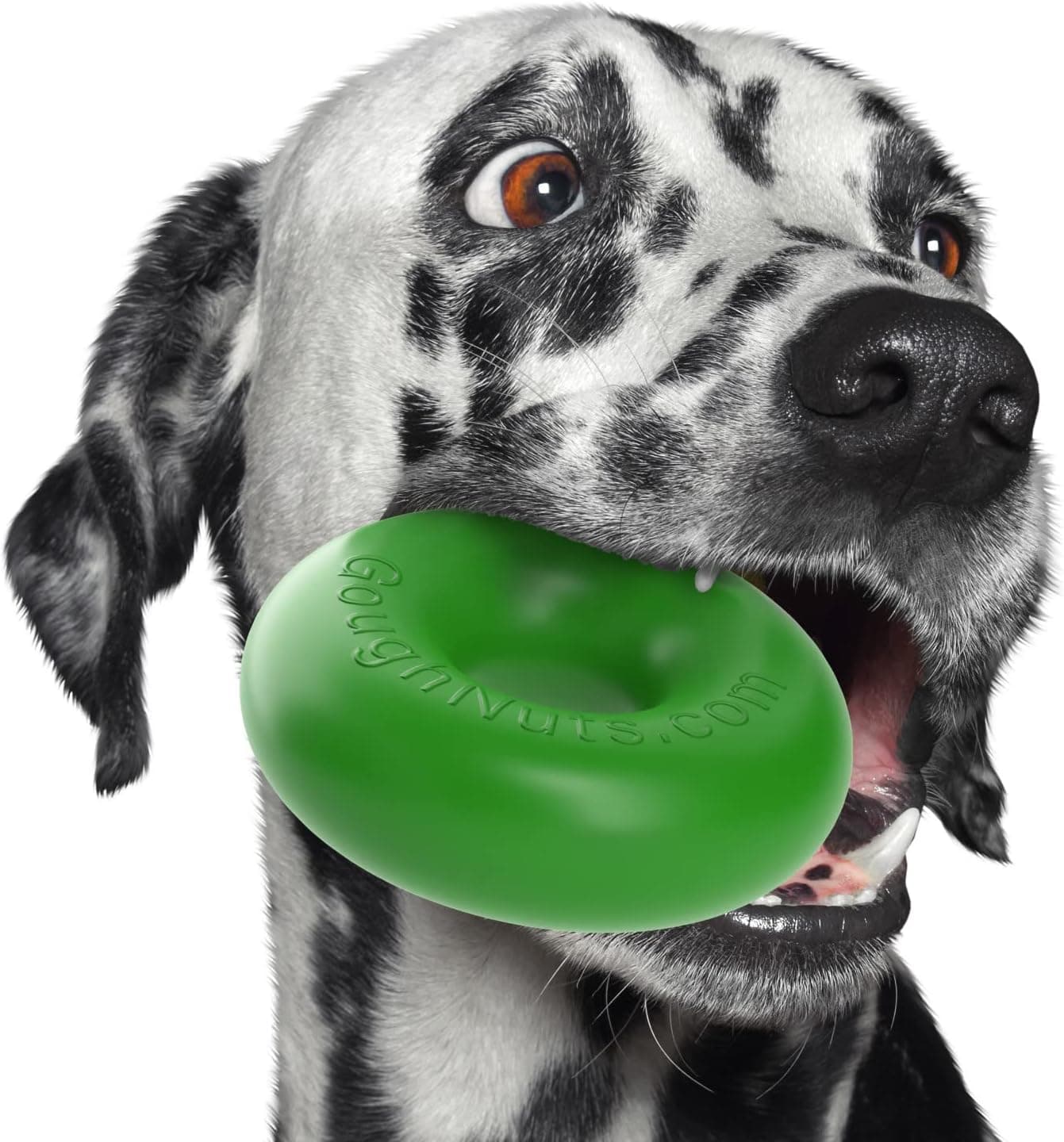 Goughnuts Original Dog Toys for Aggressive Chewers, Indestructible Ring, Green