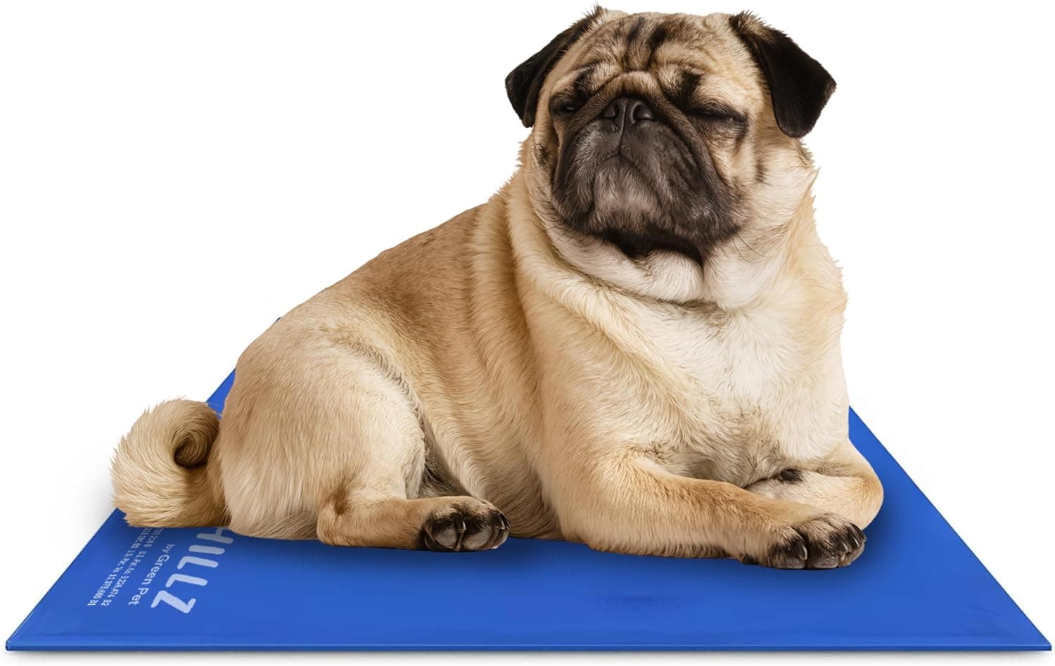 The Green Pet Shop Chillz Gel Mat, Medium, Pressure-Activated Cooling Pad