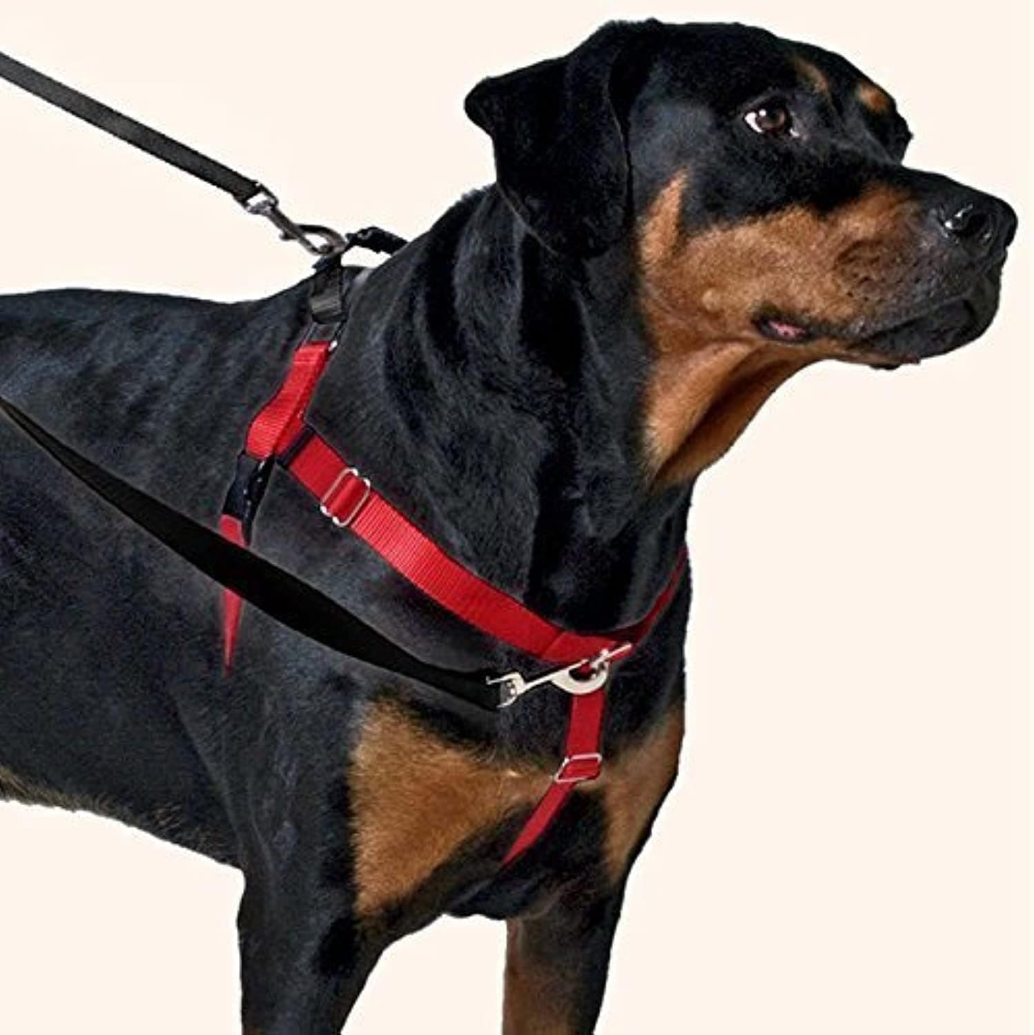 2 Hounds Design Freedom No-Pull Dog Harness Training Package with Leash