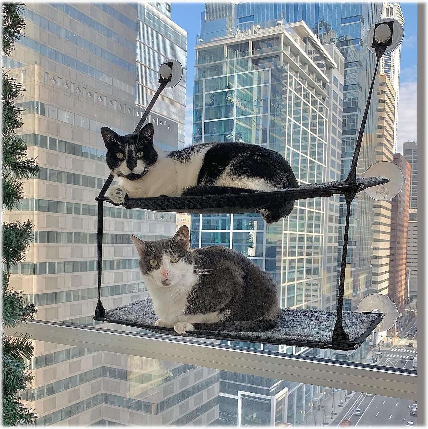 K&H Pet Products EZ Mount Double Stack Cat Window Perch for Large Cats, Steel Frame, Suction Cups, 2 Washable 