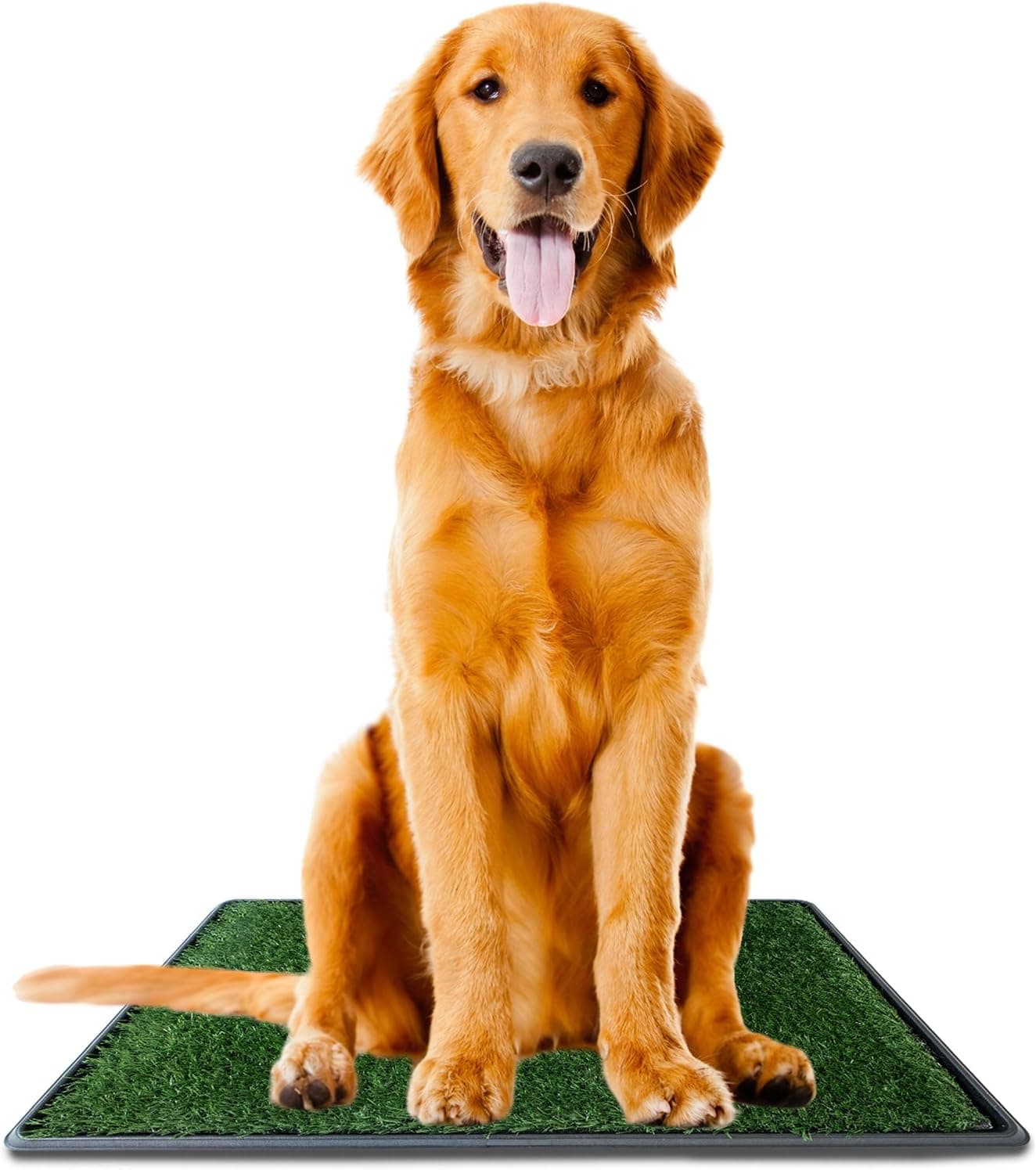 Dog Potty Grass Pee Pad Large 20"x30" Artificial Pet Grass Patch Indoor Outdoor