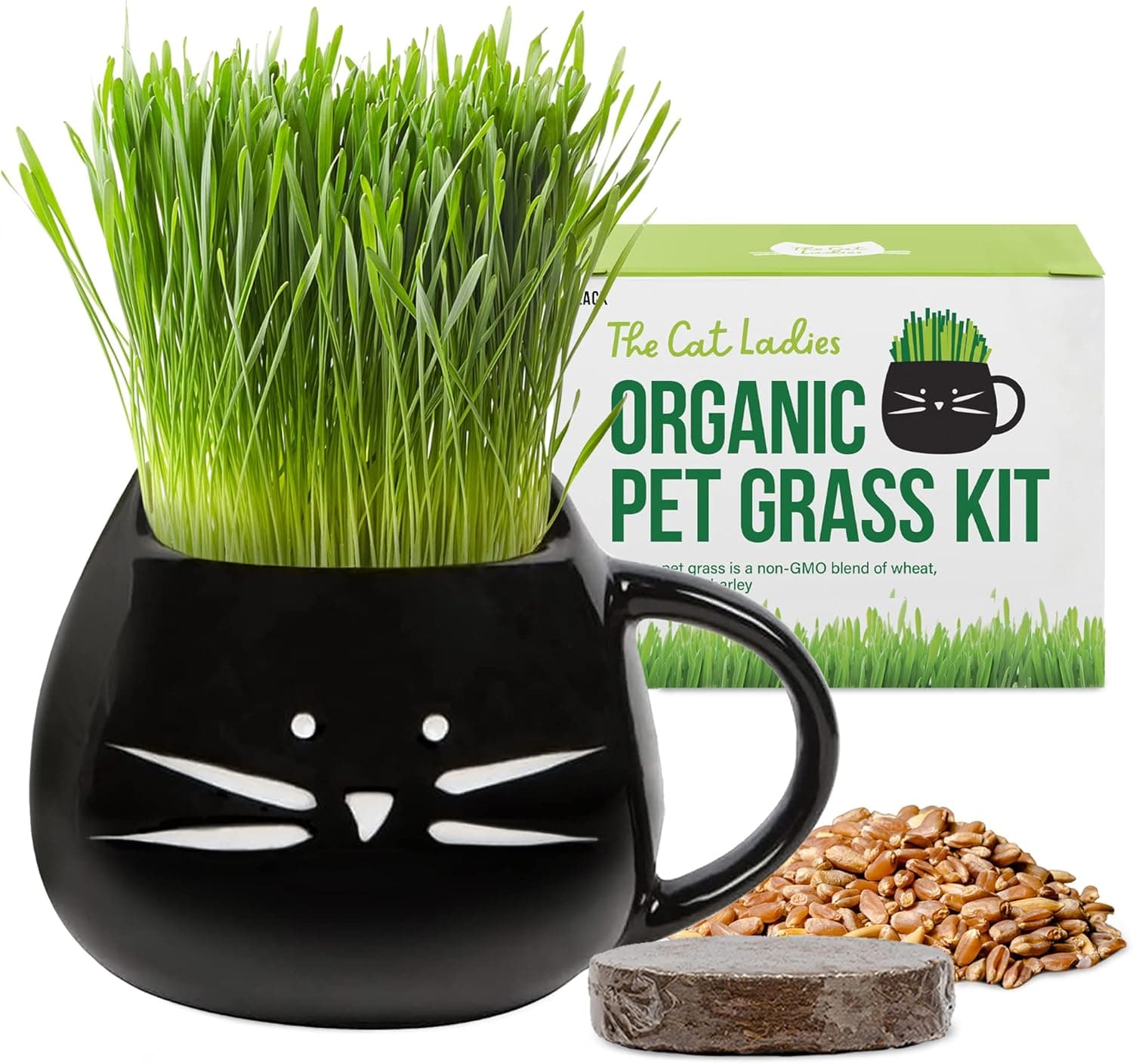 The Cat Ladies Organic Cat Grass for Indoor Cats Growing Kit with Organic Seed Mix, Soil and Black Cat Planter