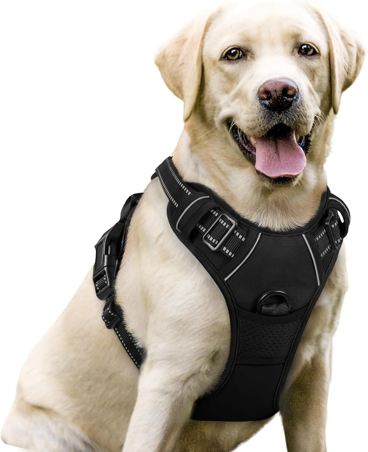 rabbitgoo Dog Harness, No Pull for Large Dogs with 2 Leash Clips