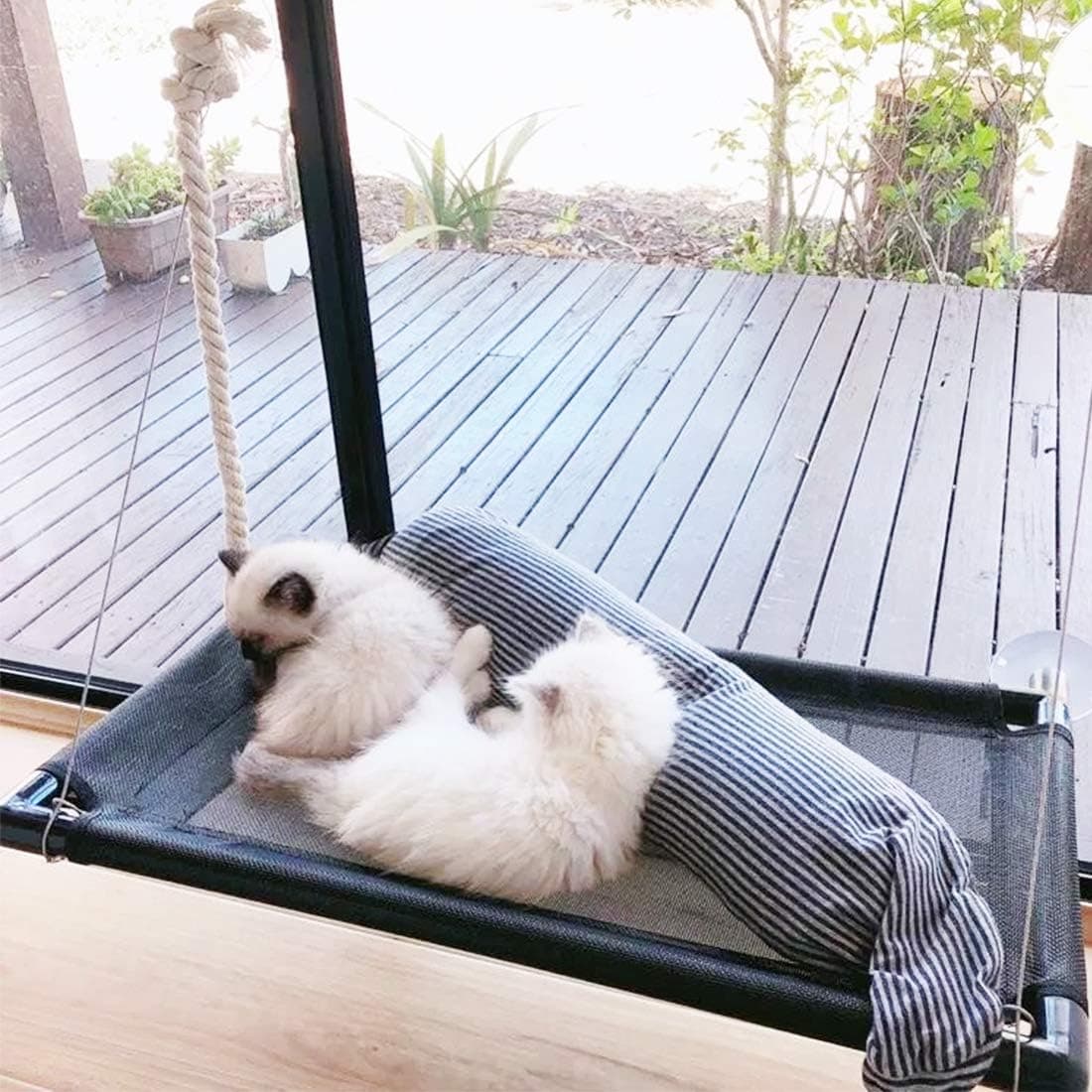 Camlinbo Cat Bed Window Perch Hammock Sunny Seat for Larger Cats Heavy Duty 4 Suction Cups Holds Up to 60lbs