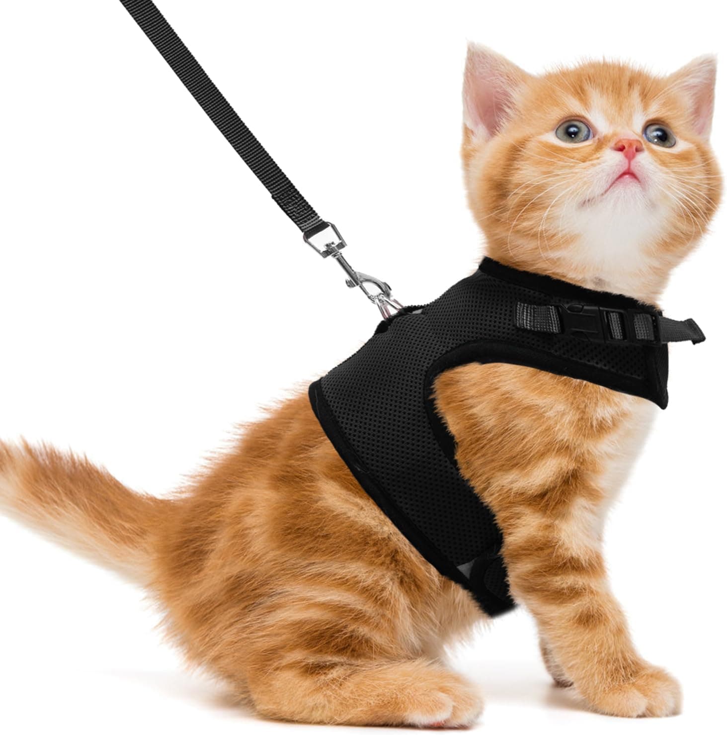 PUPTECK Soft Mesh Cat Vest Harness and Leash Set, Escape Proof