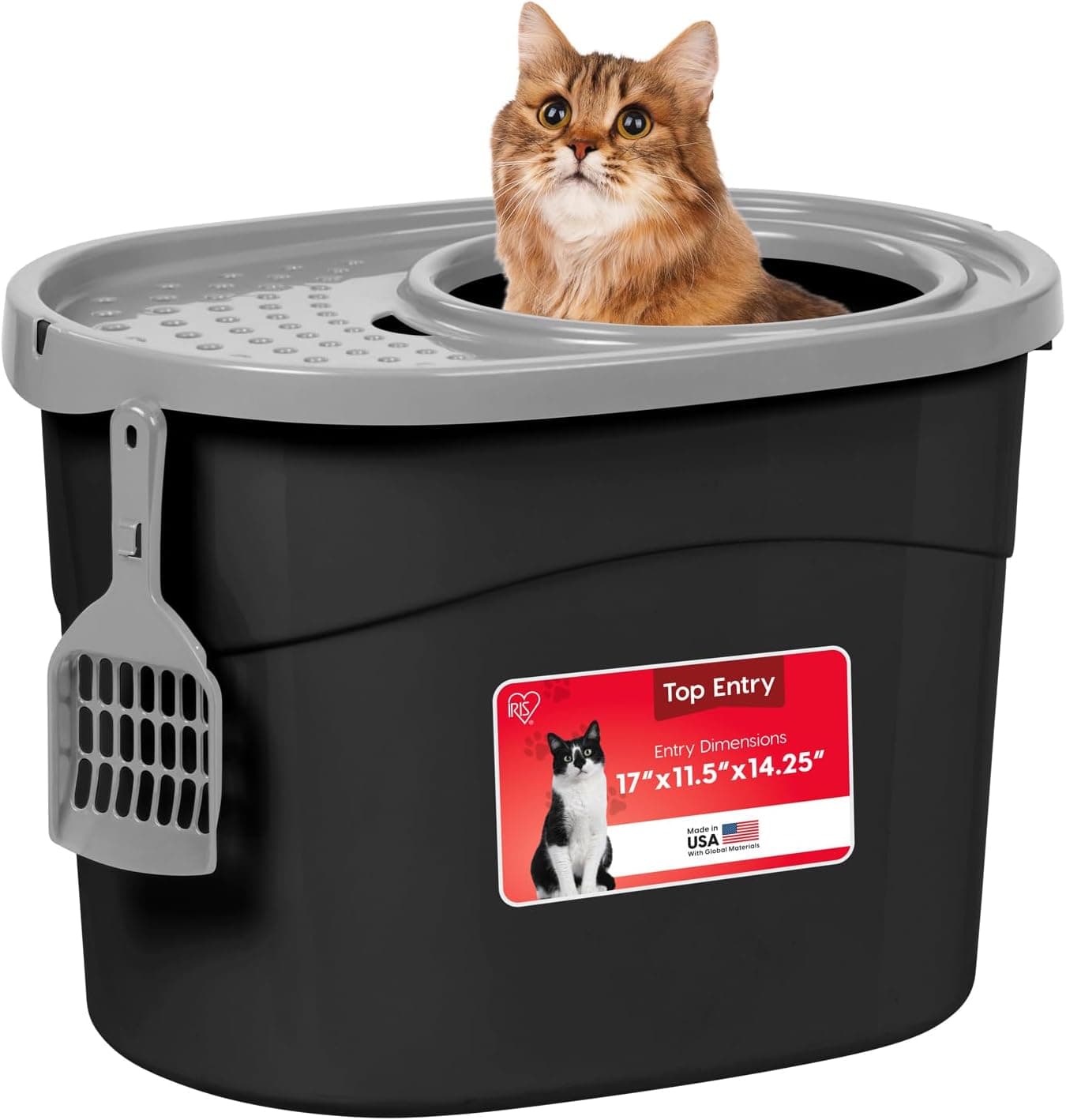 Best Enclosed Litter Boxes