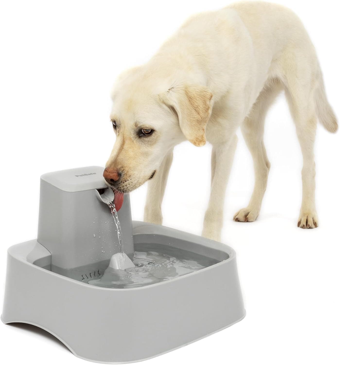PetSafe Oasys 2 Gallon Pet Fountain, Adjustable Flow, Dishwasher-Safe