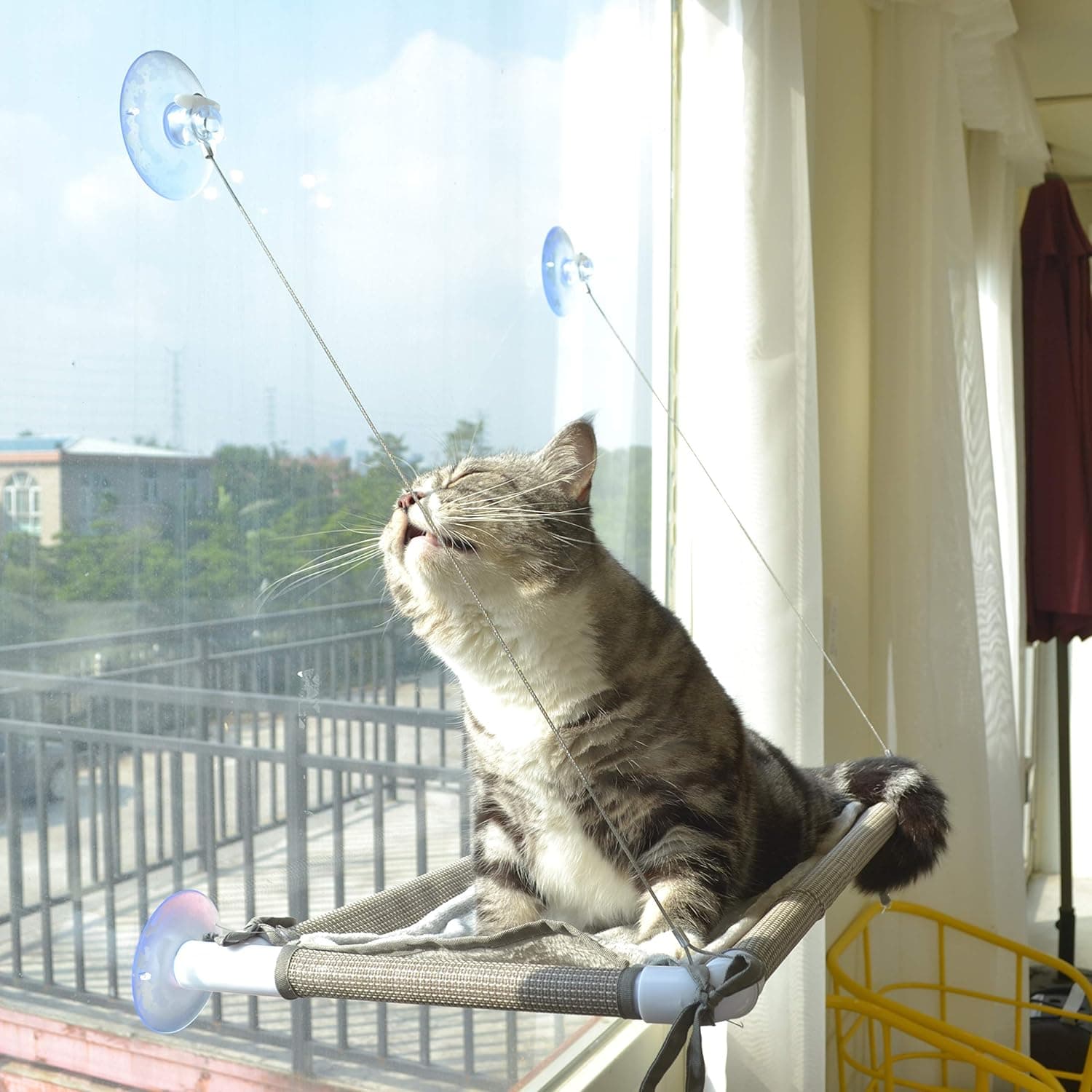 PEFUNY Cat Window Hammock - Mess-Free Waterproof Cats Window Perch for Large Cats, Strong Suction Cup Hammock 