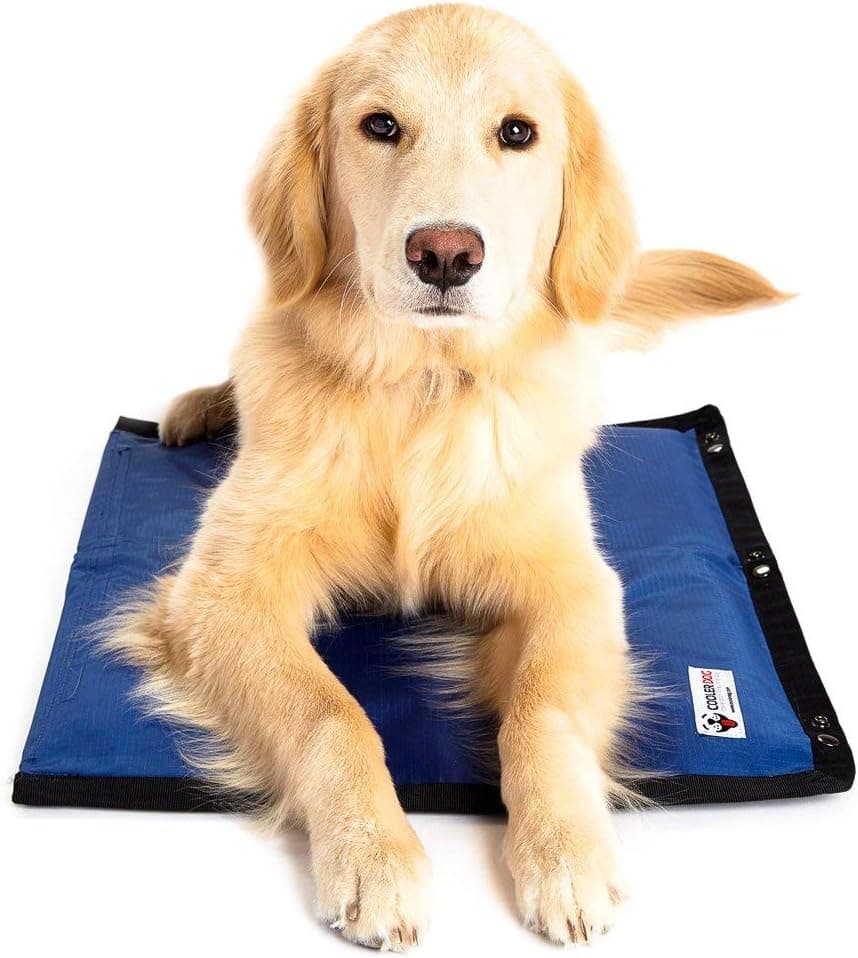 CoolerDog Hydro Cooling Mat, Triple Layer with Ice Sheet & Water Cushion