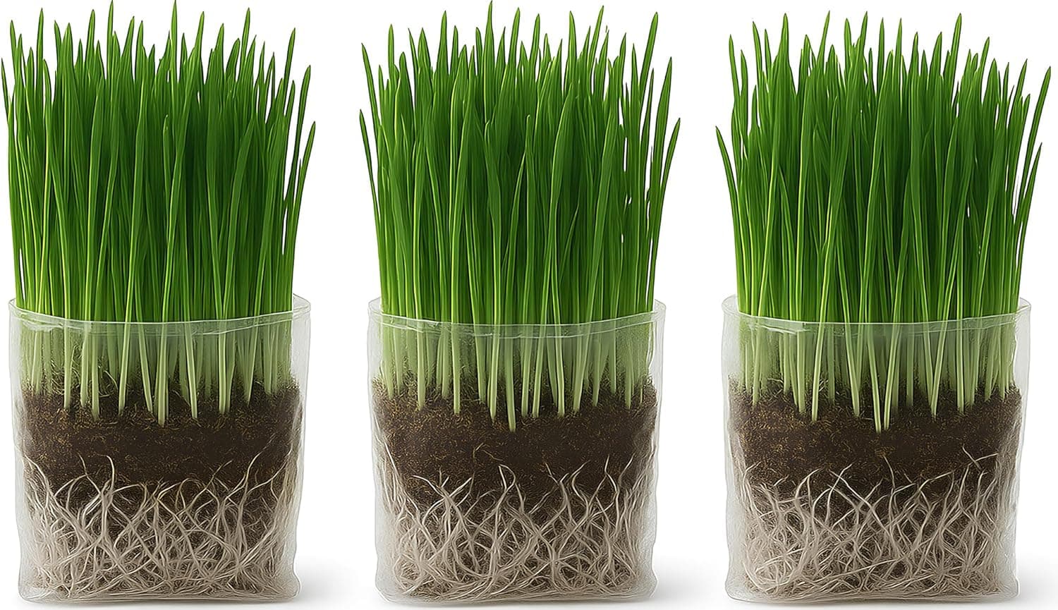 The Cat Ladies Cat Grass Grow Bag Kit Organic Cat Grass for Indoor Cats Seeds, Soil & Grow Bags 3 Pack