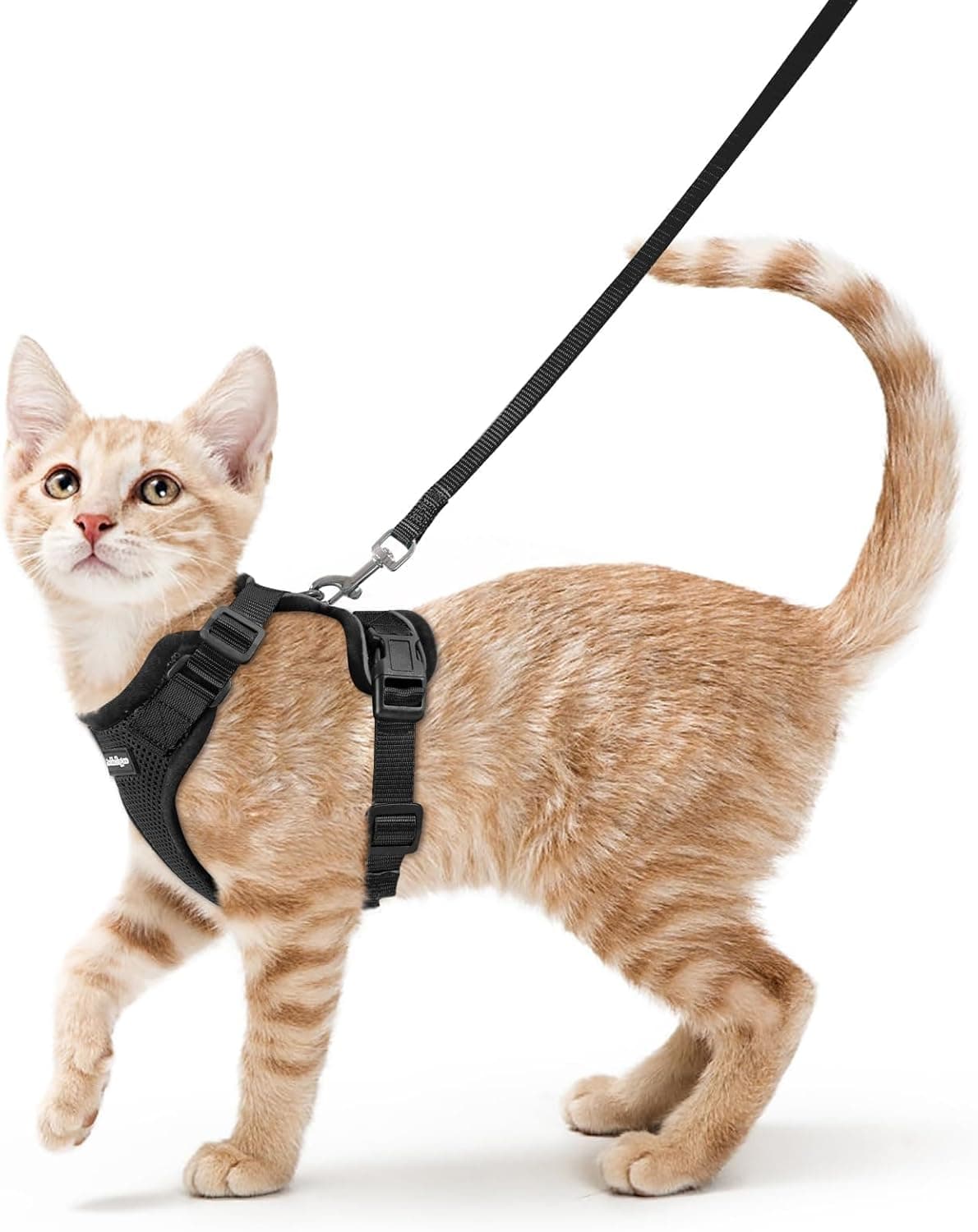 rabbitgoo Cat Harness and Leash Set, Escape Proof Vest, Soft Breathable Mesh