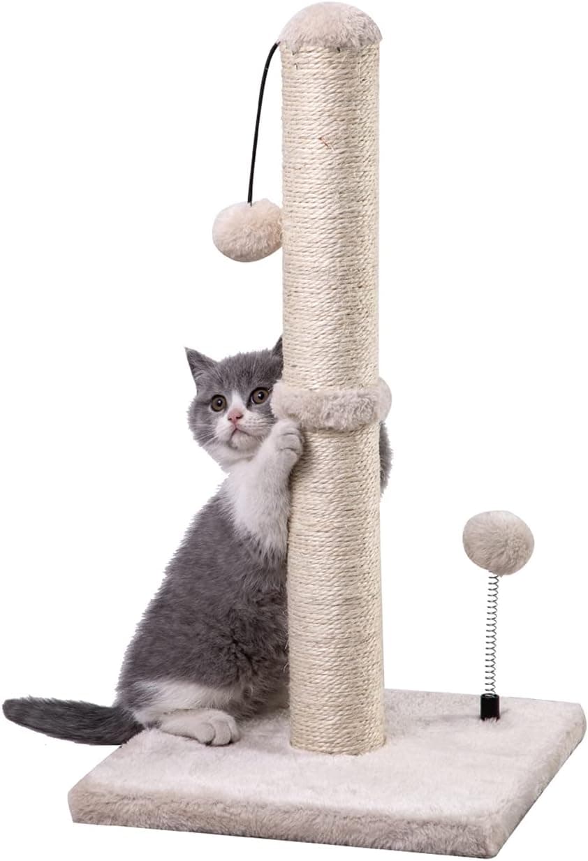 Best Cat Scratching Posts