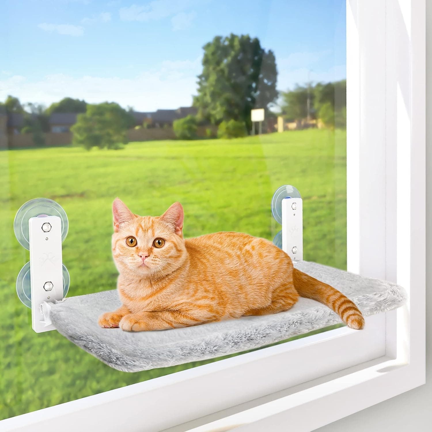 AMOSIJOY Cordless Cat Window Perch, Cat Hammock for Wall with 4 Suction Cups, Anchor & Screw Installation, Foldable