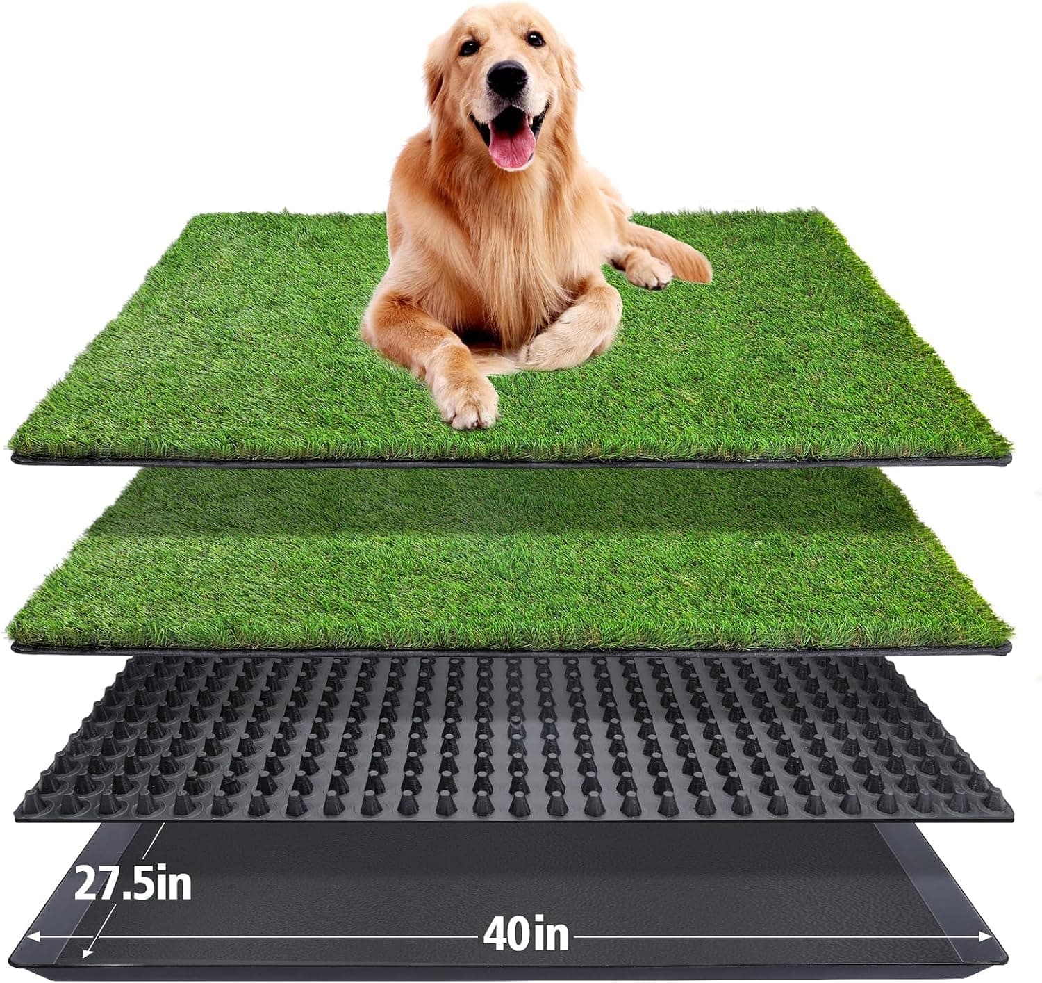 Best Indoor Dog Potty