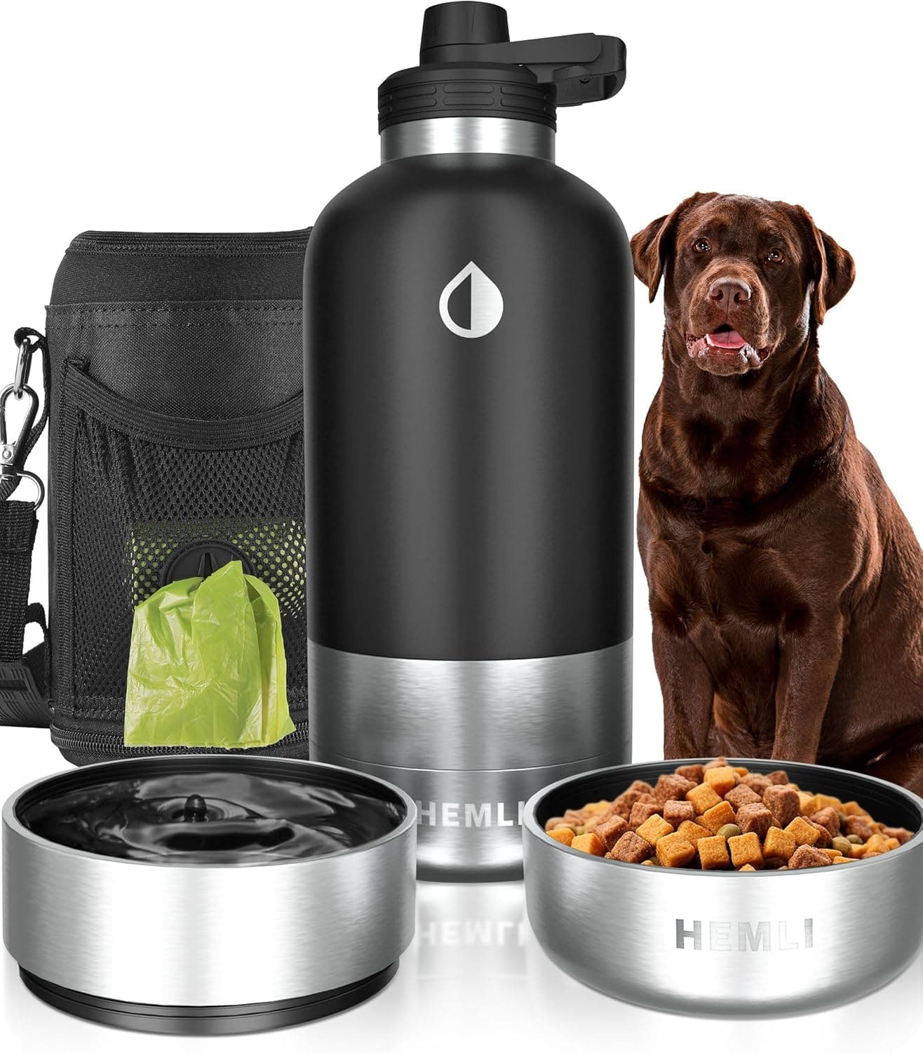 Insulated Dog Travel Water Bottle, Stainless Steel Pet Water Bottle Dispenser with Carrying Case