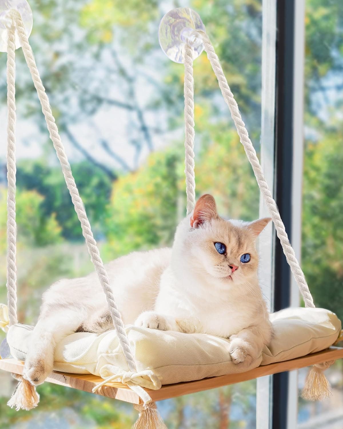 Cat Window Perch with Industrial-Grade Suction Cups, Solid Pine Wood Hammock Bed, Soft Cushion, 42 lb Capacity