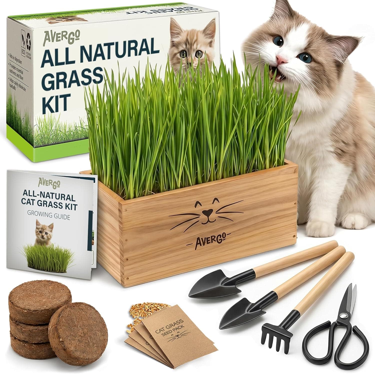 Cat Grass Kit for Indoor Cats x4 Seed Packets with Wooden Planter, Soil & Mini Gardening Tools Pet Wheatgrass