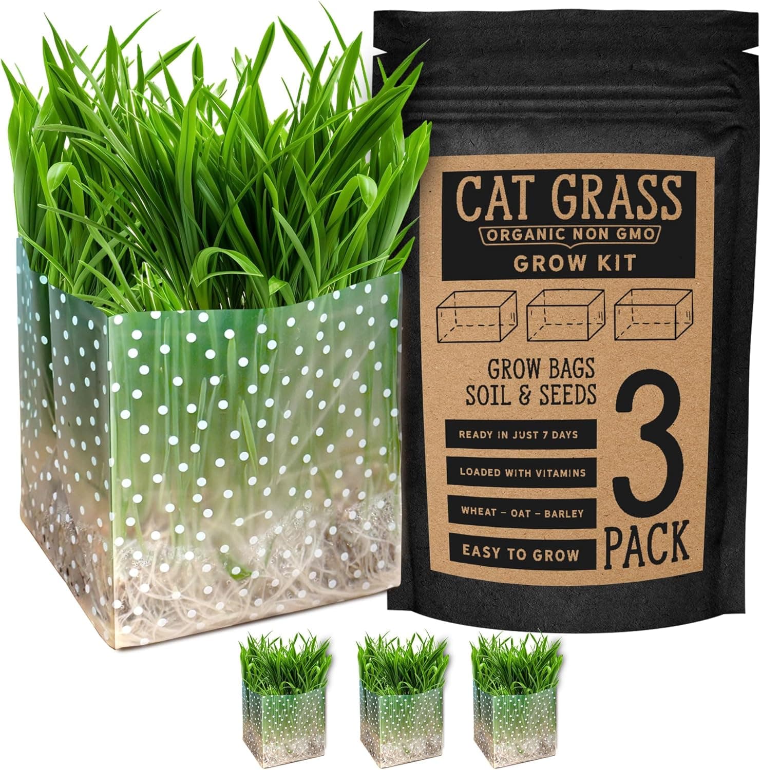 Organic Cat Grass Kit 3 Pack Polkadot Grow Bags for Indoor Cats Non GMO Mixed Heirloom Seeds Wheatgrass-Oat-Barley Blend