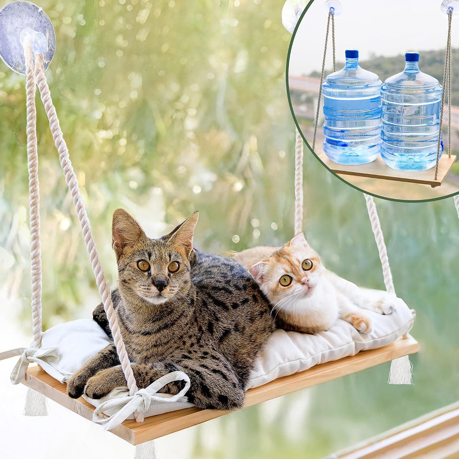 Large Cat Window Perch with Industrial-Grade Suction Cups Solid Pine Wood Hammock Bed Soft Cushion 42 lb Capacity