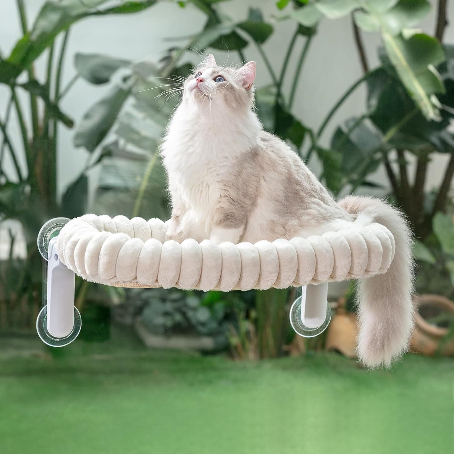 Sunhoo Cat Window Perch Bed Foldable Kitty Windowsill Hammock Shelf Seat for Large Cats, Suction Cup, Machine 