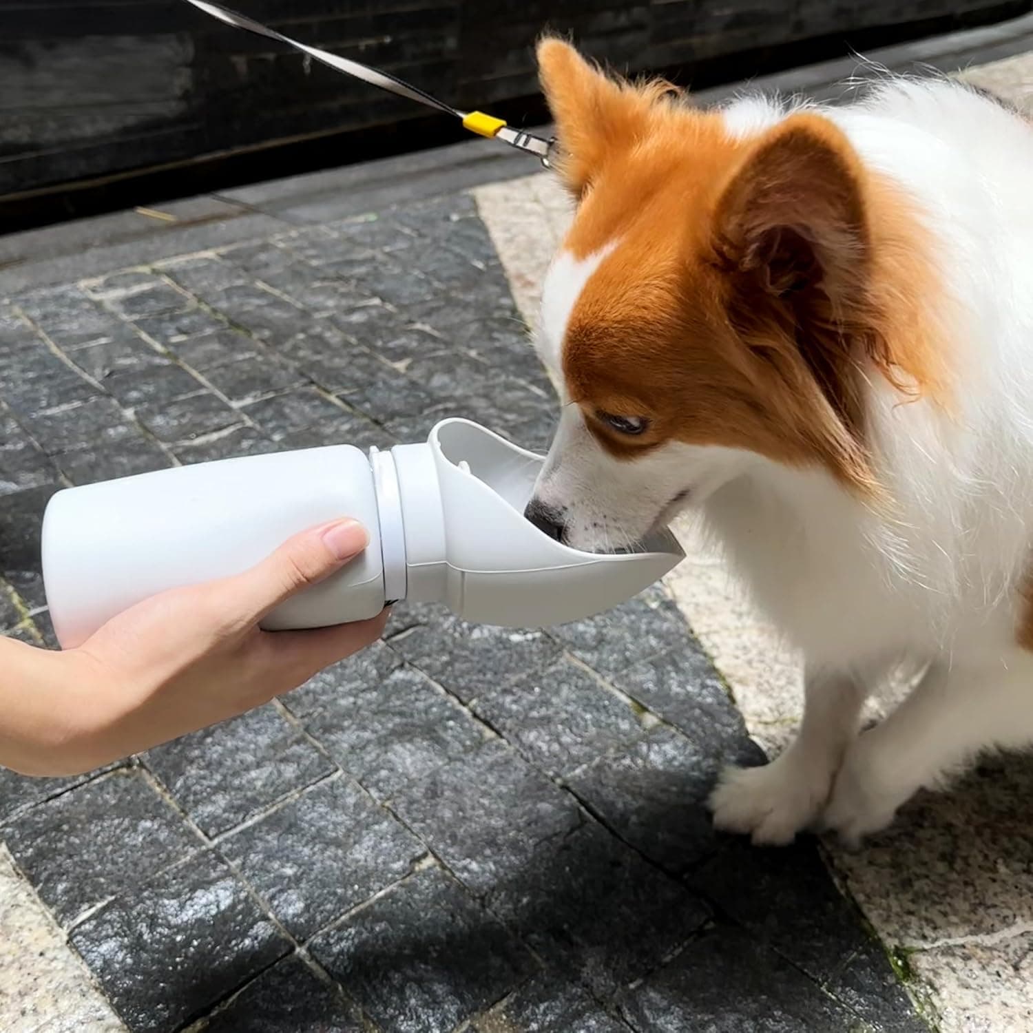 Dog Water Bottle, Collapsible Portable 19oz Food Grade Silicone Water Bottle for Dogs, Travel Bottle for Walking Hiking