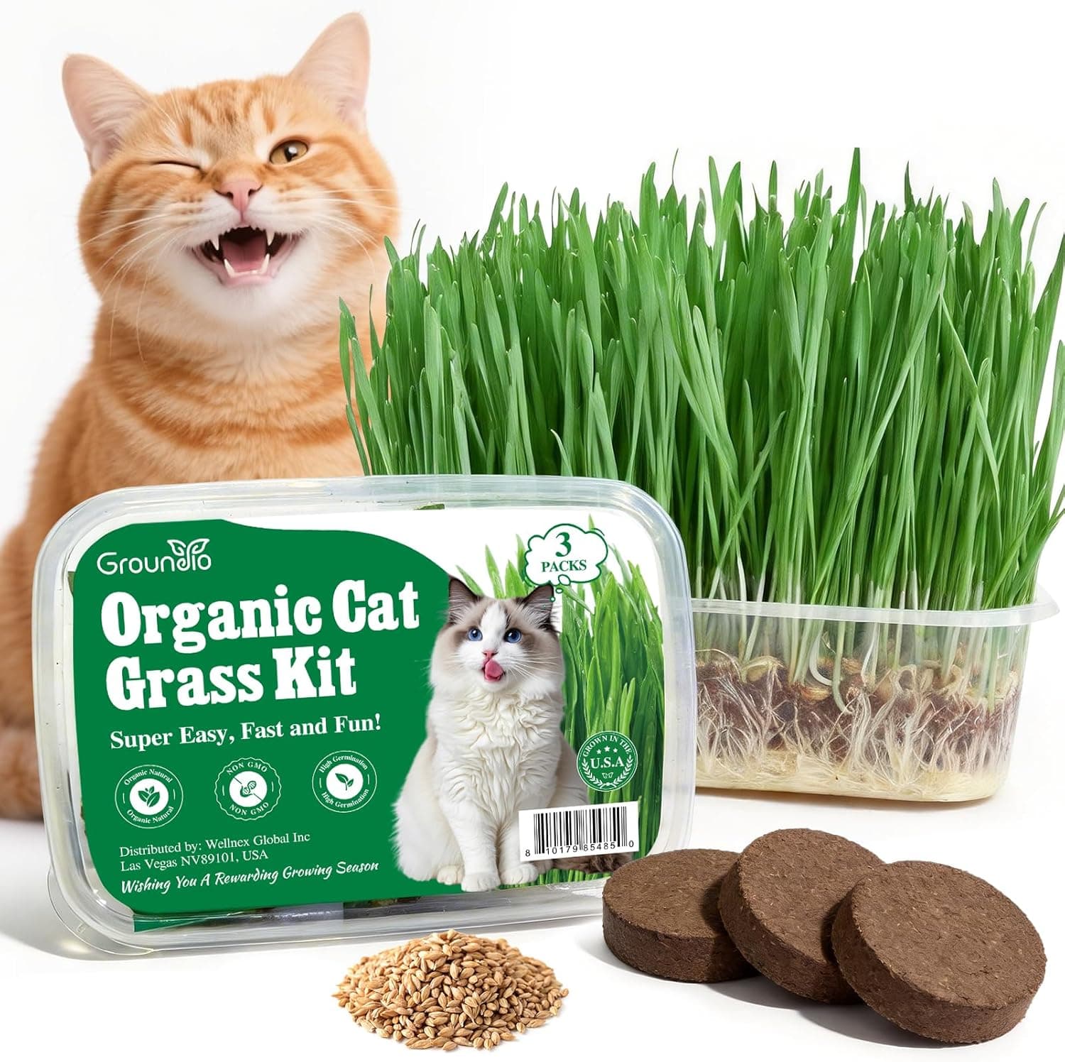 Groundio Cat Grass Kit for Indoor Cats Organic Non-GMO Seeds Growing Kit Soil & BPA Free Planter Heirloom Wheat & Oat Mix (3 Pack)