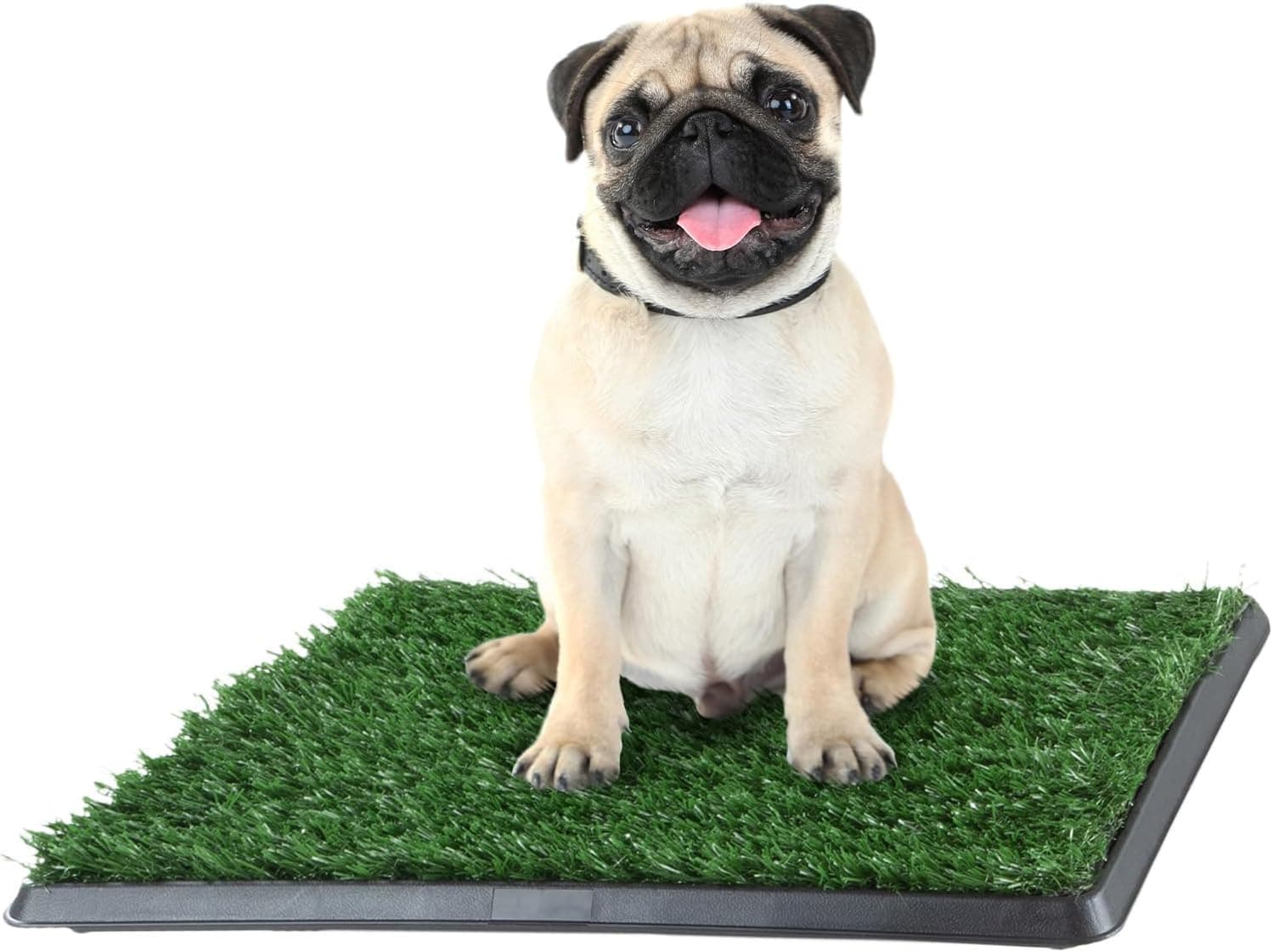 Artificial Grass Puppy Pad with Tray 16x20 in Reusable Indoor/Outdoor Potty Mat