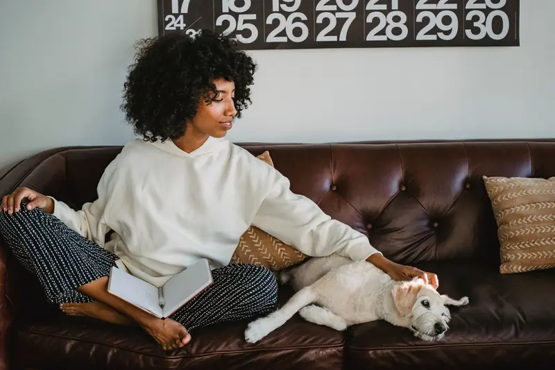 Full body of young African American female student with curly hair in stylish clothes sitting on sofa and caressing obedient dog while doing homework assignment