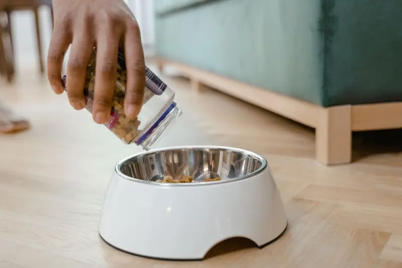 A person pours dog treats from a jar into a metal bowl on a wooden floor